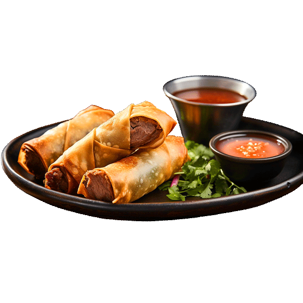 Sislou Beef Spring Rolls